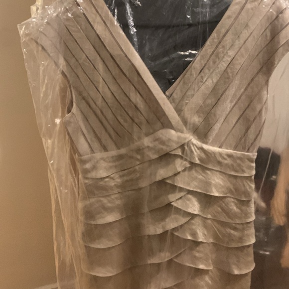 Adrianna Papell Dress - Picture 10 of 10